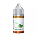 Saltica Spearmint