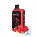 Saltica Cyber 18000