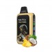 Saltica Cyber 18000