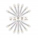 Saltica White 3500