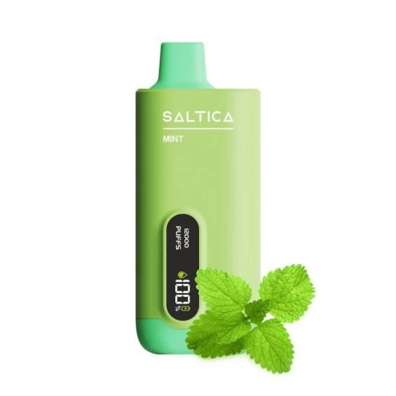 Saltica Digital 12000