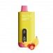 Saltica Digital 12000