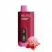 Saltica Digital 12000