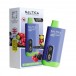Saltica Digital 12000
