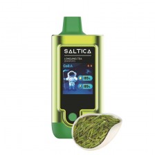 Saltica Digital 20000