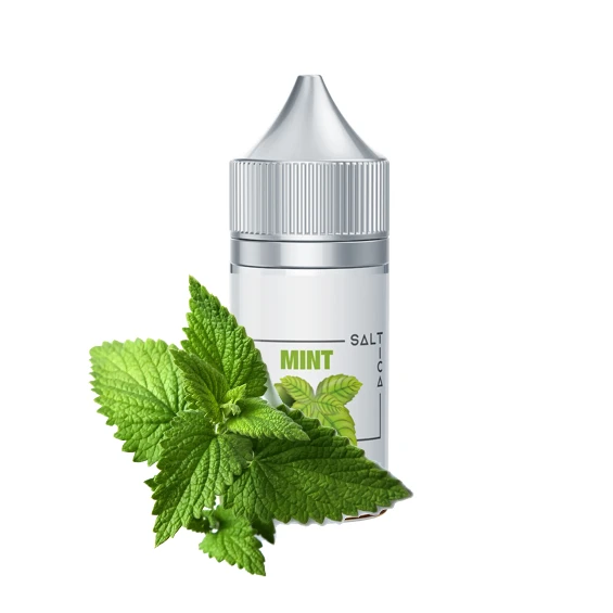 Saltica - Mint