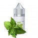 Saltica - Mint