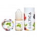 Saltica - Mint
