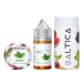 Saltica Spearmint