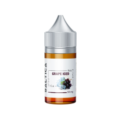 Saltica G2 Pod Mod